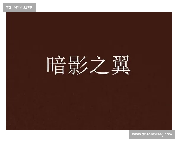 暗影之翼,攻略黑暗中的未知 暗影之翼,攻略黑暗中的未知