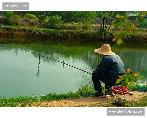 桃花源垂钓乐，绿水伴渔翁