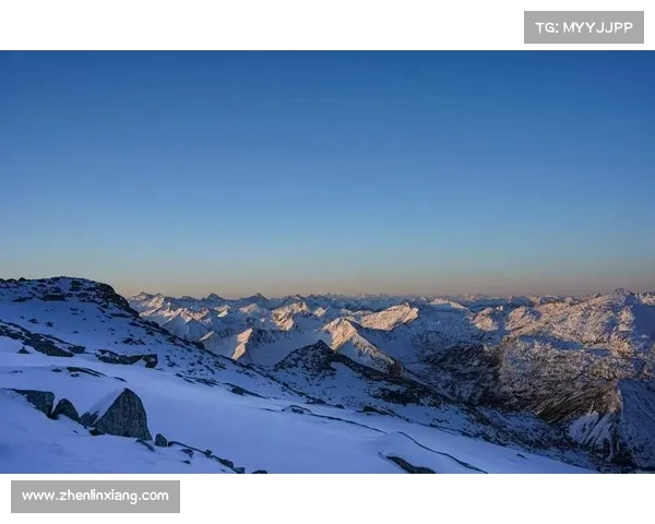 神图鉴攻略宝典：征服神话世界的指南